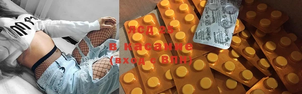 твердый Вяземский