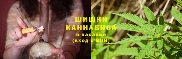 шишки Лагань