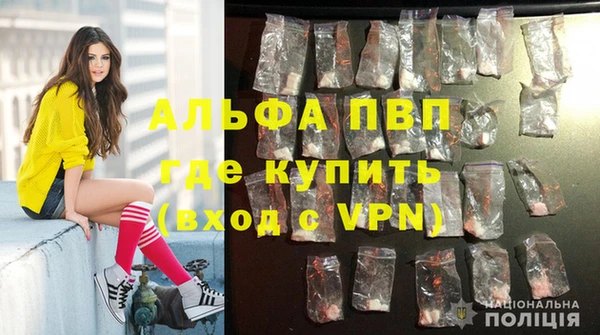 шишки Лагань