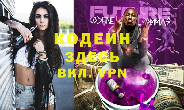 гашик Ладушкин