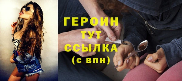 гашик Ладушкин