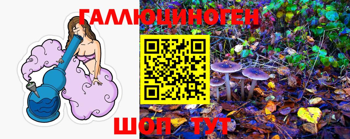 Псилоцибиновые грибы прущие грибы Волжский